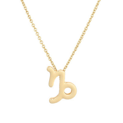 Capricorn Astrology Necklace