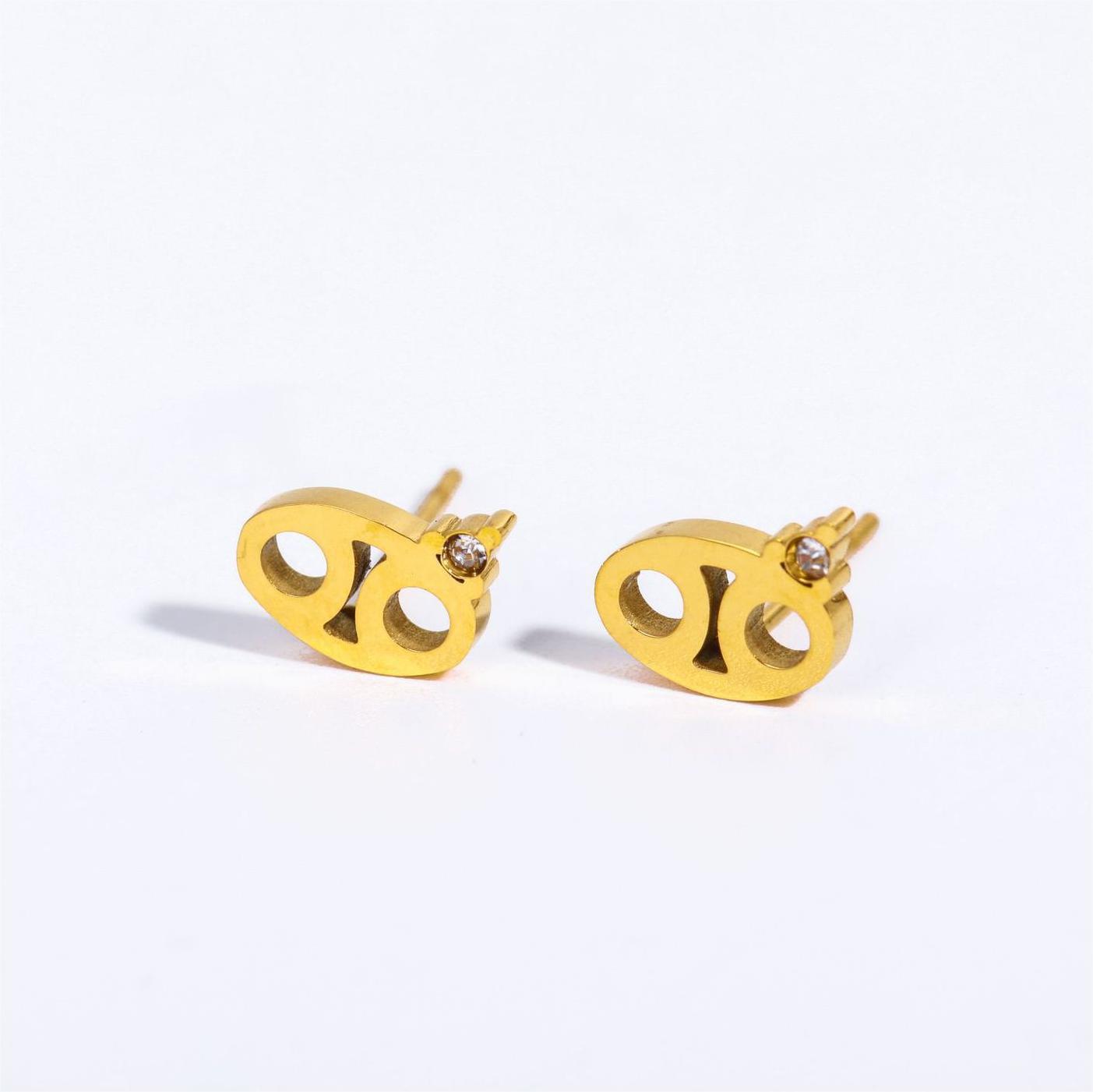Cancer Ear Studs