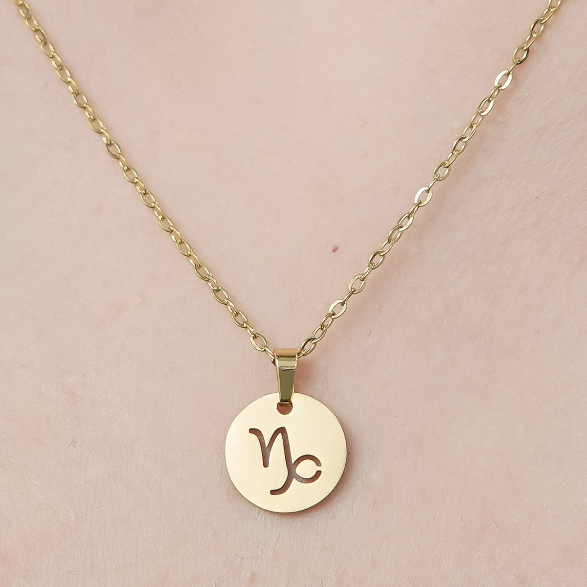 Capricorn Pendant Necklace